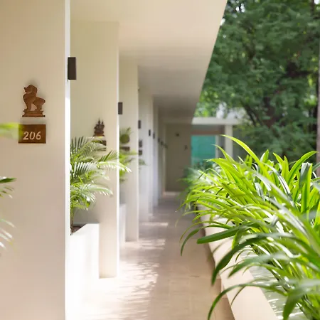 Fcc Angkor By Avani