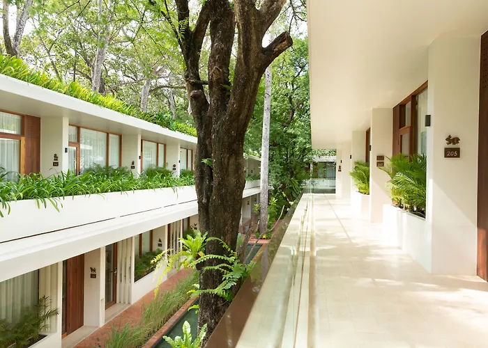 Hotel Fcc Angkor By Avani 5*