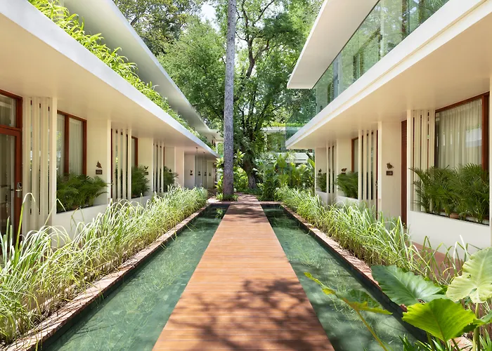 Fcc Angkor By Avani